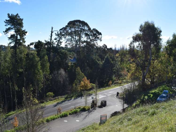 53 Margaret Avenue Mount Albert_5