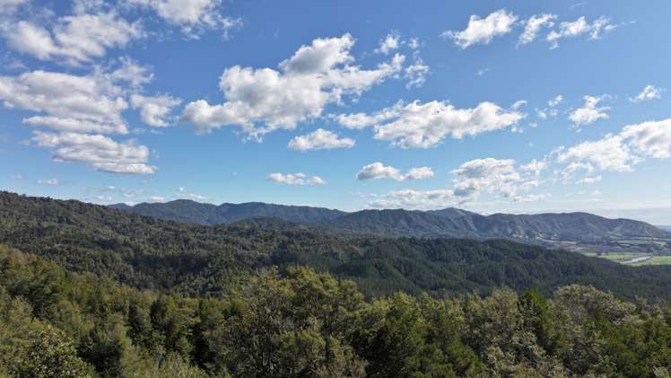 - Waioeka Pa Road Opotiki_22