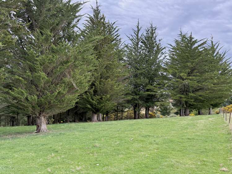 Lot 4 McKenzie Road, Livingstone Duntroon_9