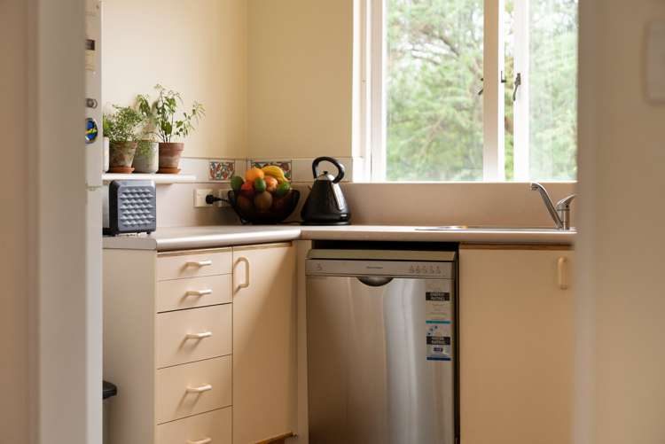 472 Maunganui Road Mount Maunganui_9