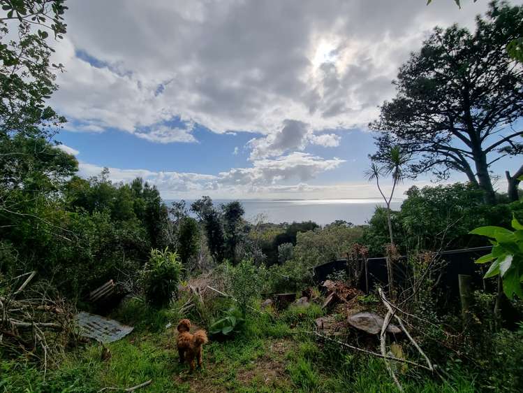 1434 Whangaparaoa Road Army Bay_12