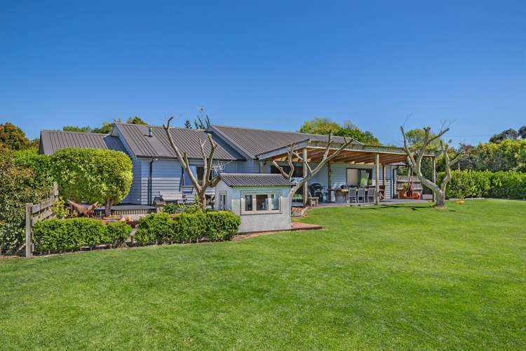 178 The Avenue Levin_15