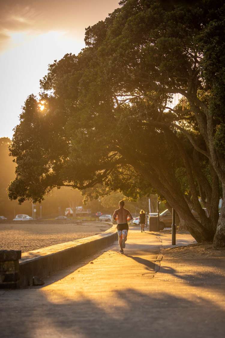 50B Comins Crescent Mission Bay_31