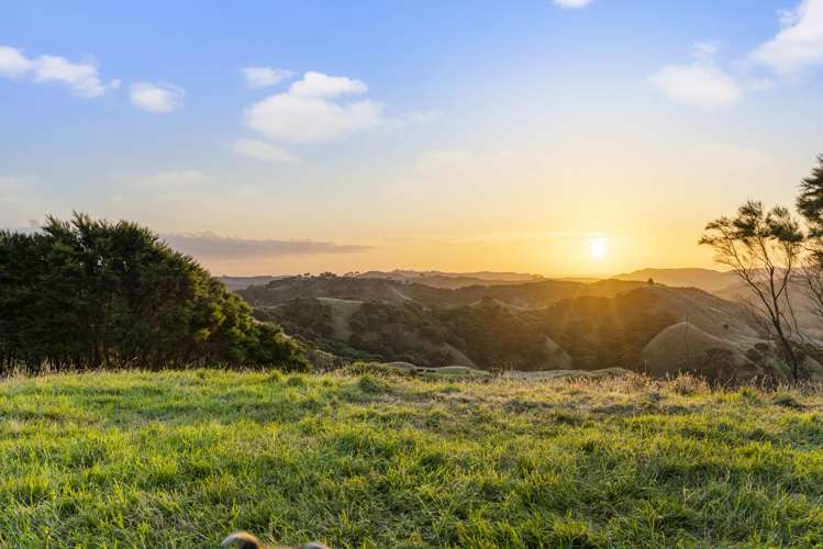 2368 Wairamarama Onewhero Road Glen Murray_16