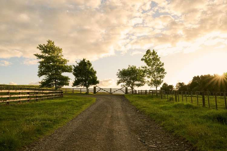 Lots 1-6/85 Whitford Road Whitford_22