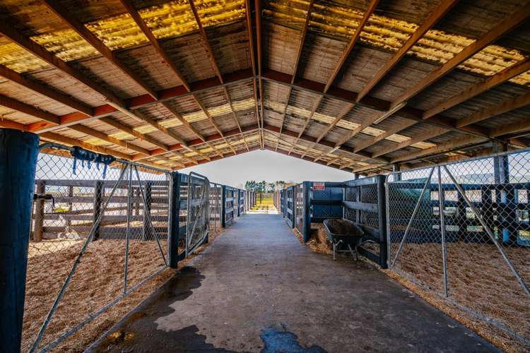 122 Rotoorangi Road Cambridge_18