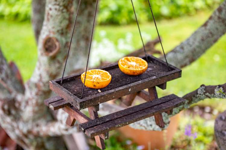 2 Heron Court Te Kowhai_44