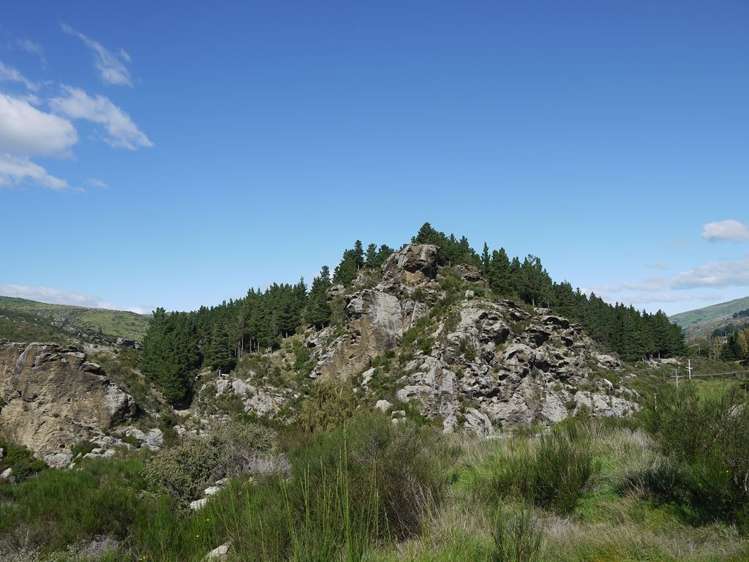 Teviot Street Roxburgh_9