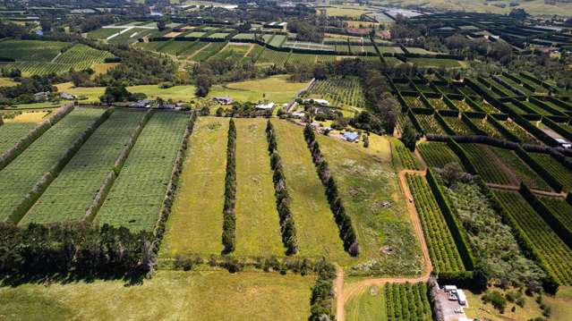 107C Kapiro Road Kerikeri_1