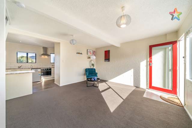 1/25 Tennyson Street Te Aro_1