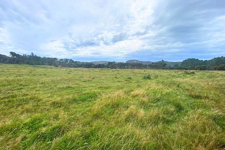 Lot 3/161 Wharariki Road Puponga_14