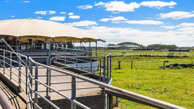 351 Otaua Road Waiuku_4