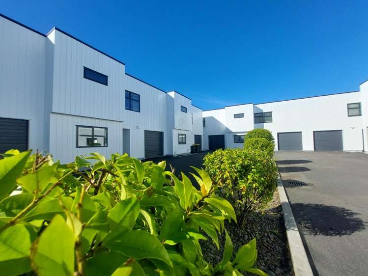 8/195 Massey Street Frankton_9