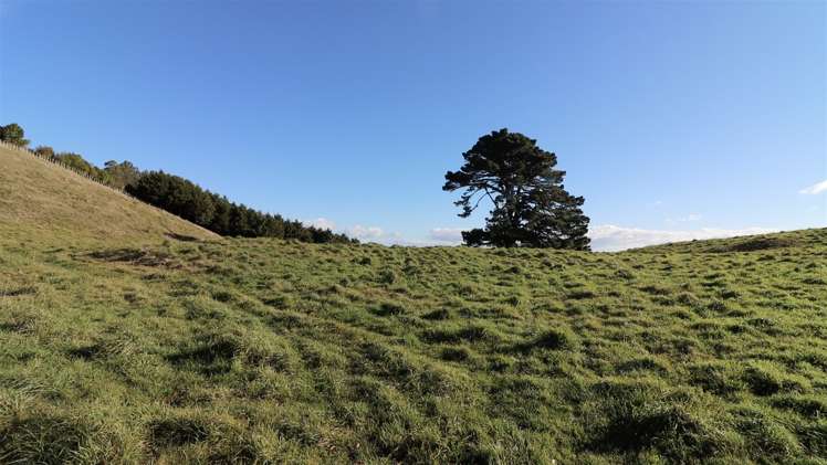 104 Highland Drive Acacia Bay_3