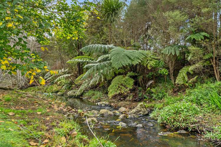 44H Darwin Road Kerikeri_33