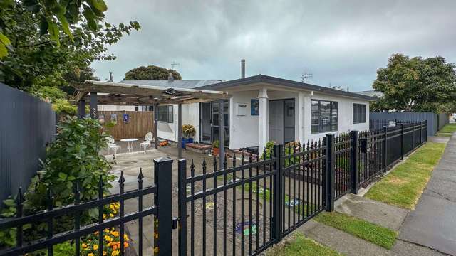 183 vigor Brown Ave Napier South