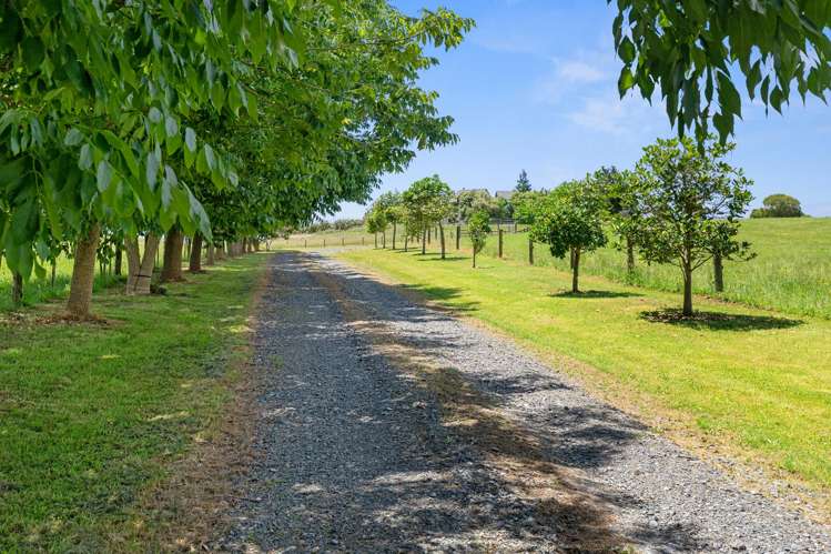 1337 Kaiaua Road Mangatangi_6