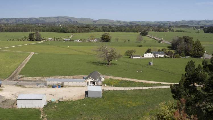 2556 State Highway 53 Martinborough_14