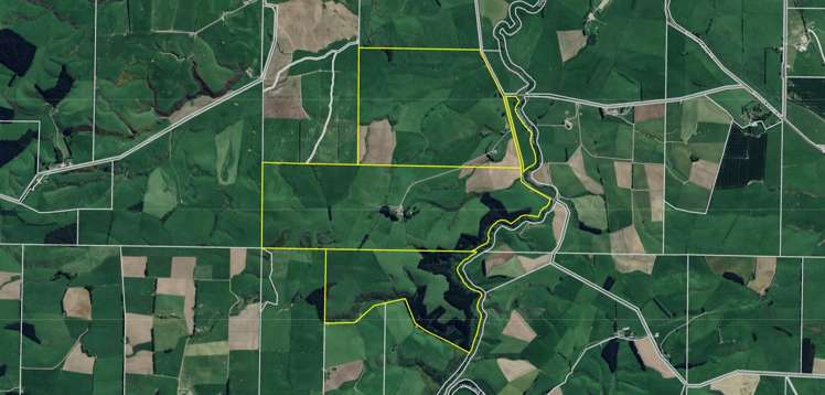 565 Bushy Park Road Waikaka_24