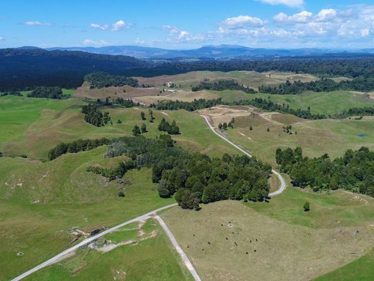 627 South Road Mamaku_17