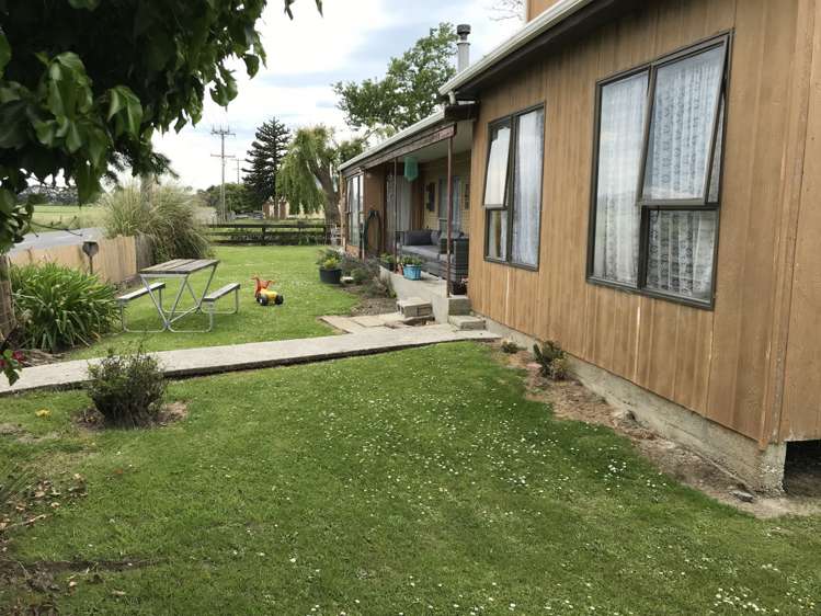 146 Springfield Road Milton_5