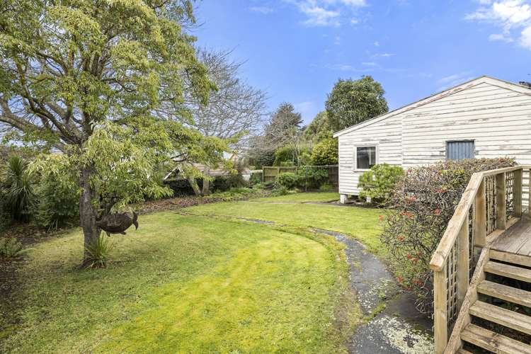 452 Highgate Maori Hill_17