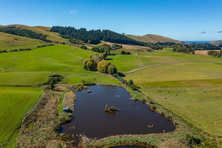 359 Hurunui Mouth Road Domett_12