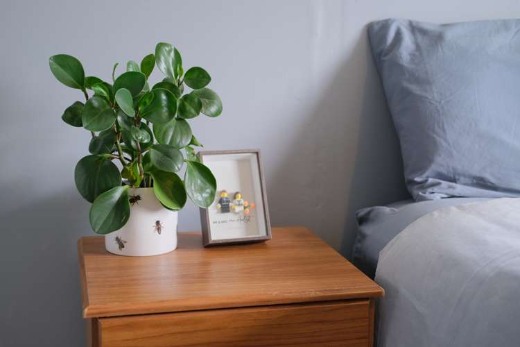 45 North Taieri Road Abbotsford_14