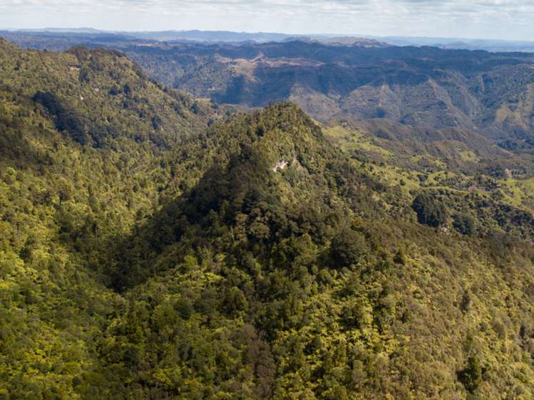 552b Cuff Road National Park_23