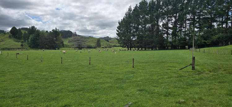 1155 Makuri Road Stratford_3