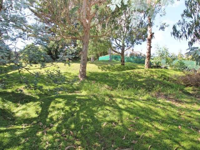 164 Motuhara Road Plimmerton_3