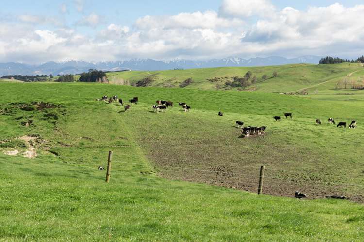 2048 State Highway 50 Ongaonga_22