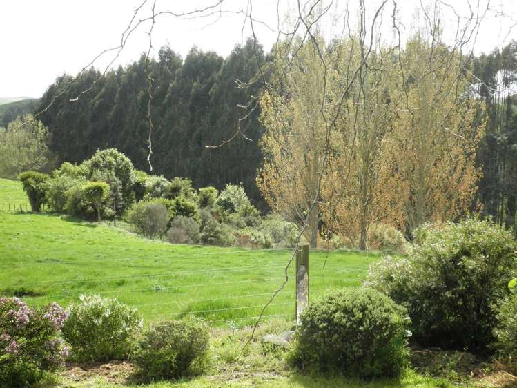 262 Henry Watson Road Matamata_10