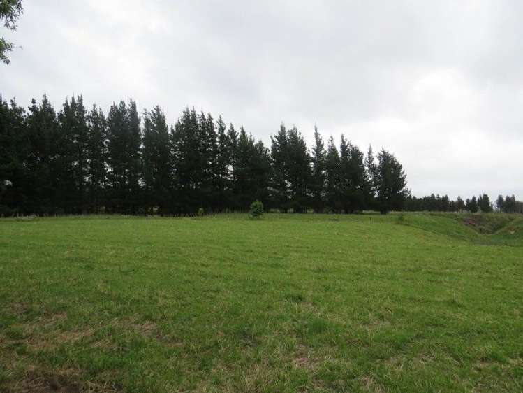 111 Tarr Road Ohaupo_45