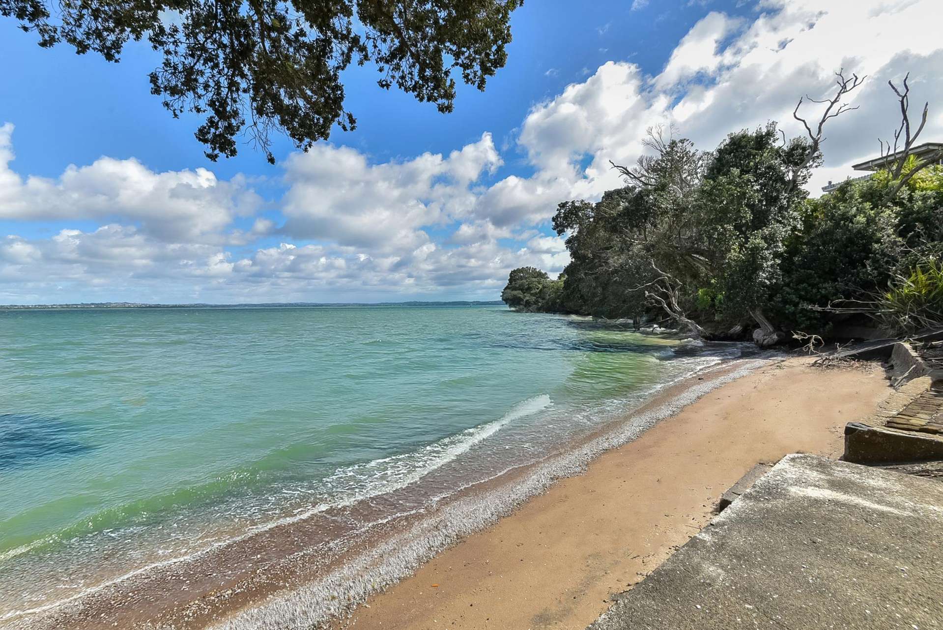 53 St Michaels Avenue Point Chevalier_0