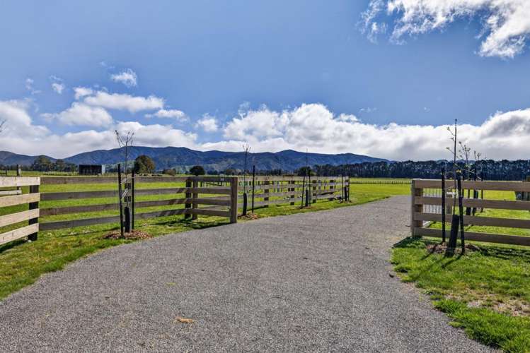 2 / 36A Spencer Lane Greytown_15