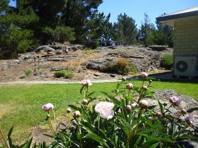 24 The Half Mile Alexandra_22