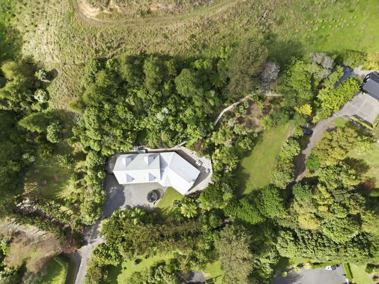 132 Maui Pomare Road Nikau Valley_44