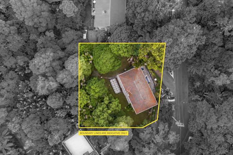 26 Paturoa Road Titirangi_22