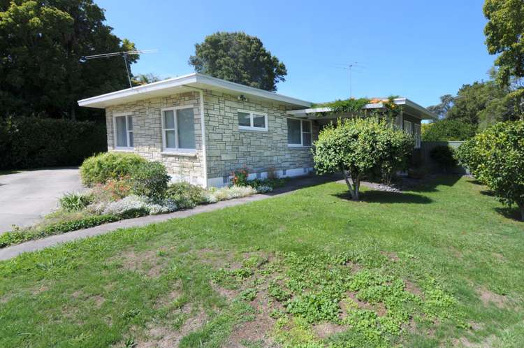 19 Hinaki Street Inner Kaiti_0