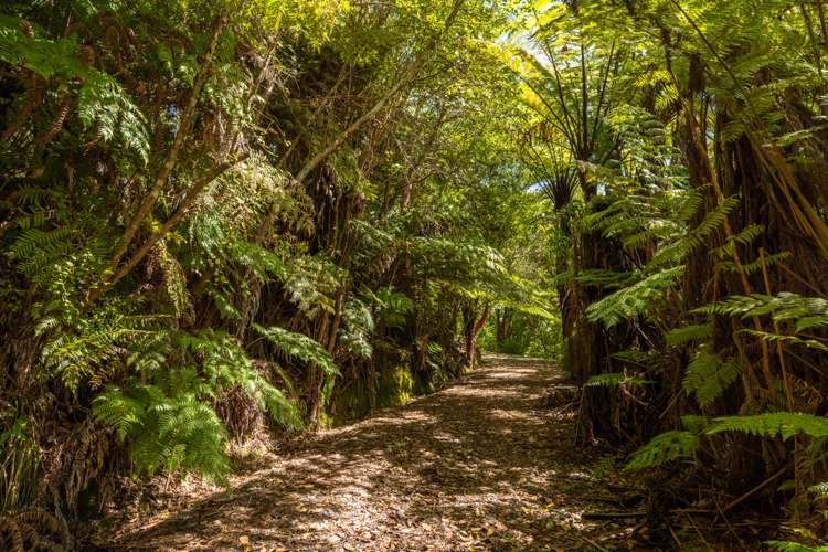 672 Moetapu Bay Road Anakiwa and Surrounds_27