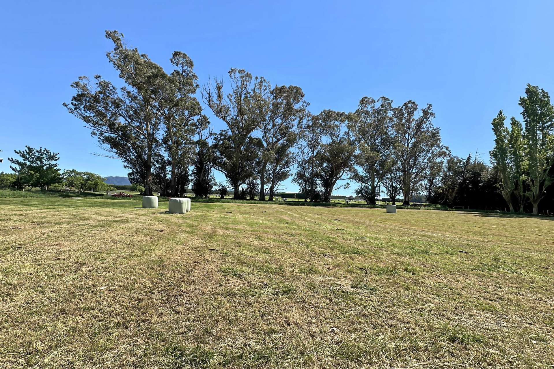 732 Rangiora Leithfield Road Leithfield_0