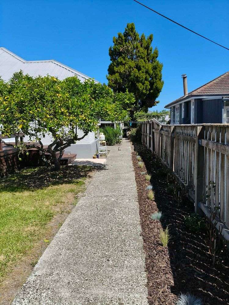 97 Main Street Edgecumbe_18