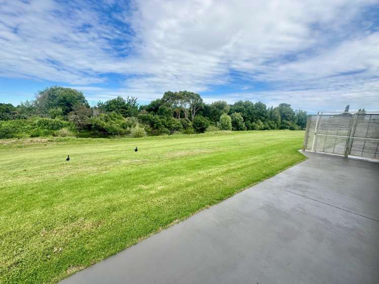 17/29 Terminus Street Te Aroha_11