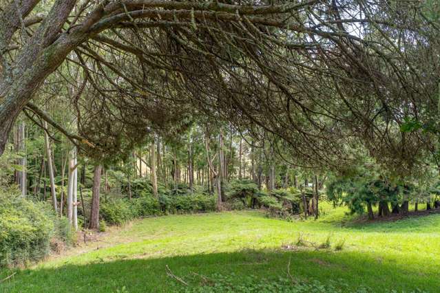 889 Tairua Whitianga Road Whenuakite_4