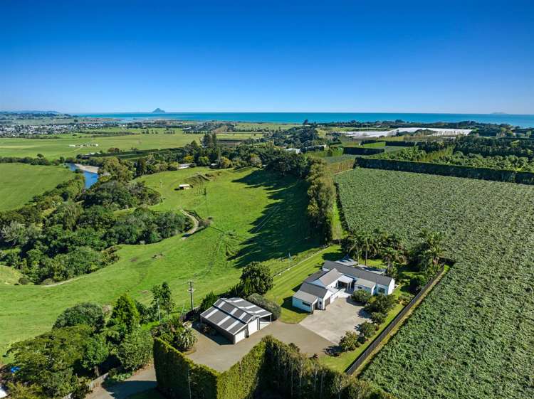 304 Tablelands Road Opotiki_32