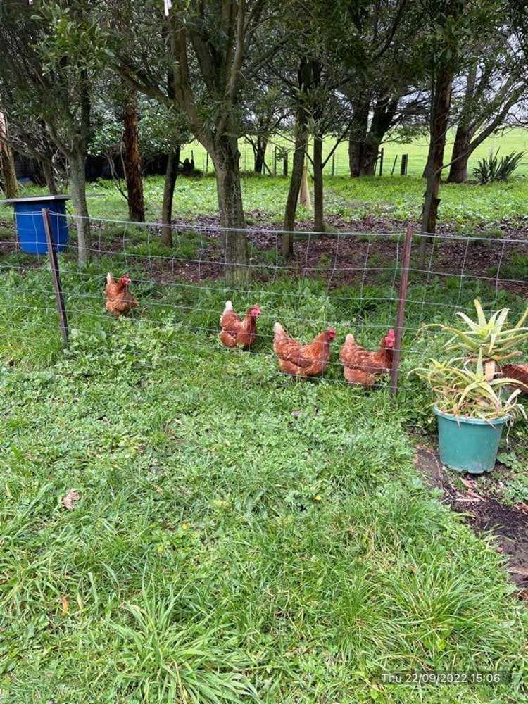 4578b State Highway 26 Te Aroha_7