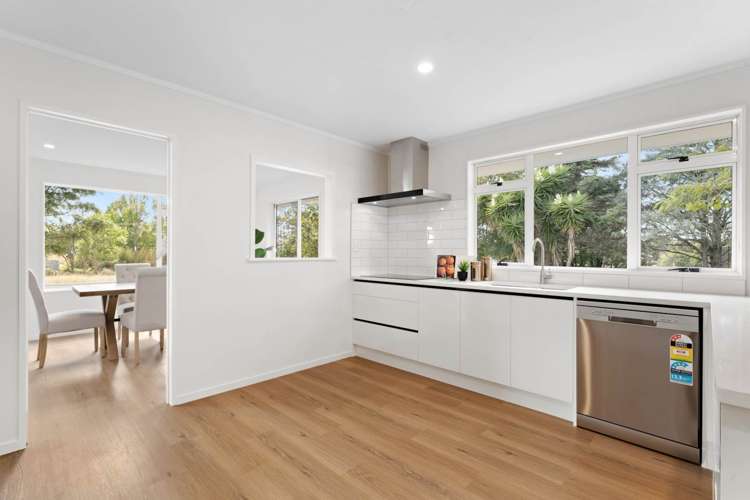 37 Green Road Dairy Flat_18