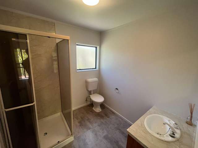 48 Norway Street Aro Valley_3