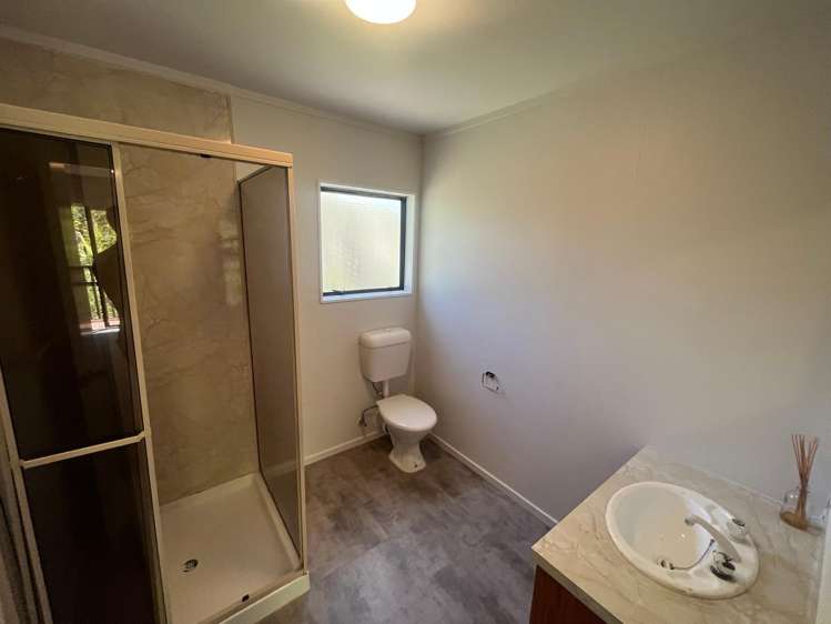 48 Norway Street Aro Valley_3